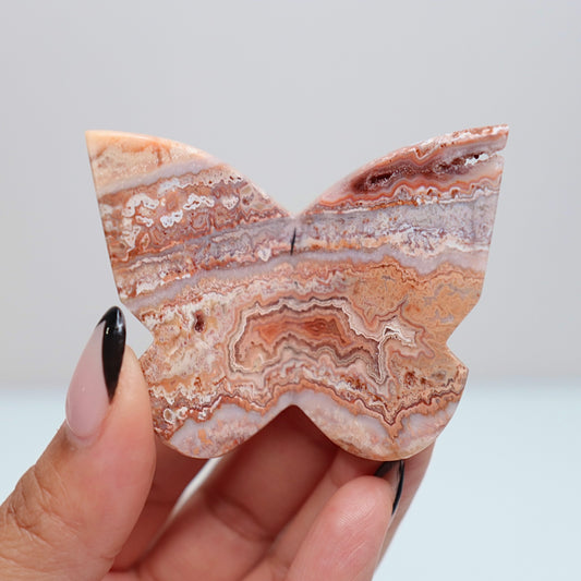 3D Pink Lace Agate Butterfly | J