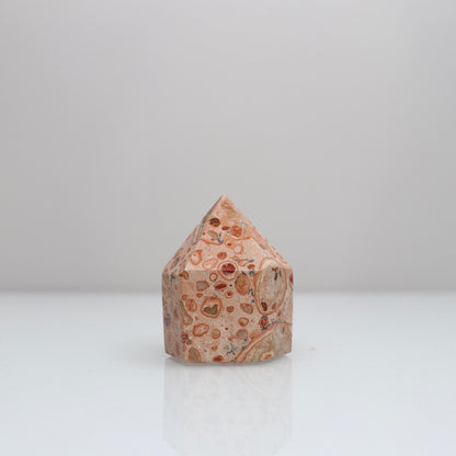 Leopardite Tower | 6