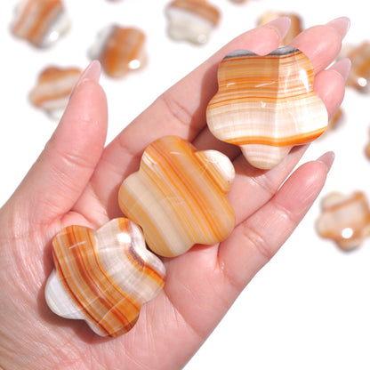Orange Aragonite Flowers