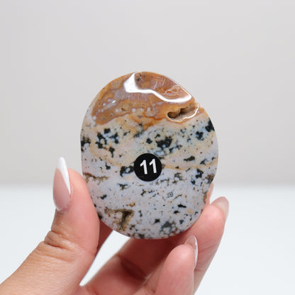 Sea Jasper Palm Stone | 11