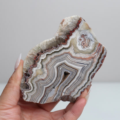 Laguna Lace Agate | O