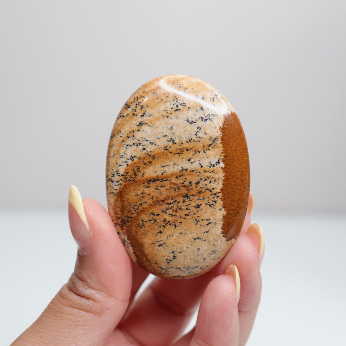 Picture Jasper Palm Stone 15