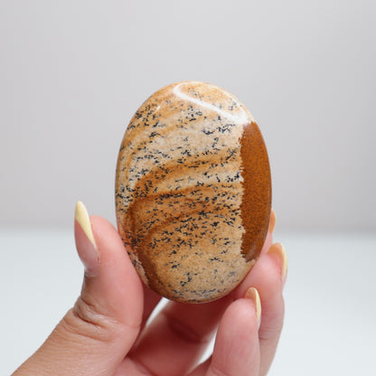 Picture Jasper Palm Stone 15