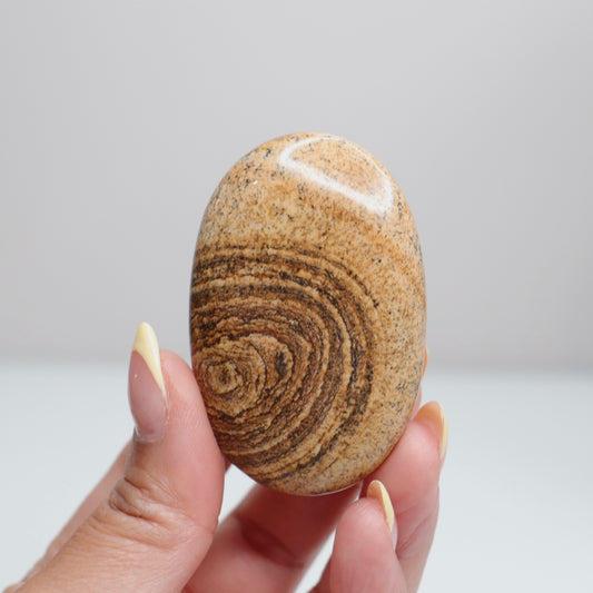 Picture Jasper Palm Stone 5