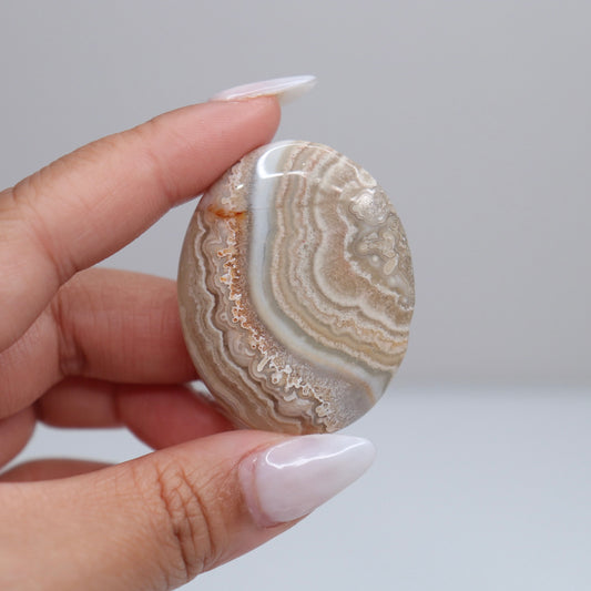 Mexican Lace Agate Palm Stone | 47