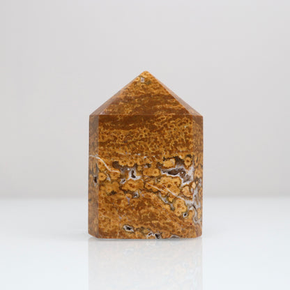 Ocean Jasper Tower | 113