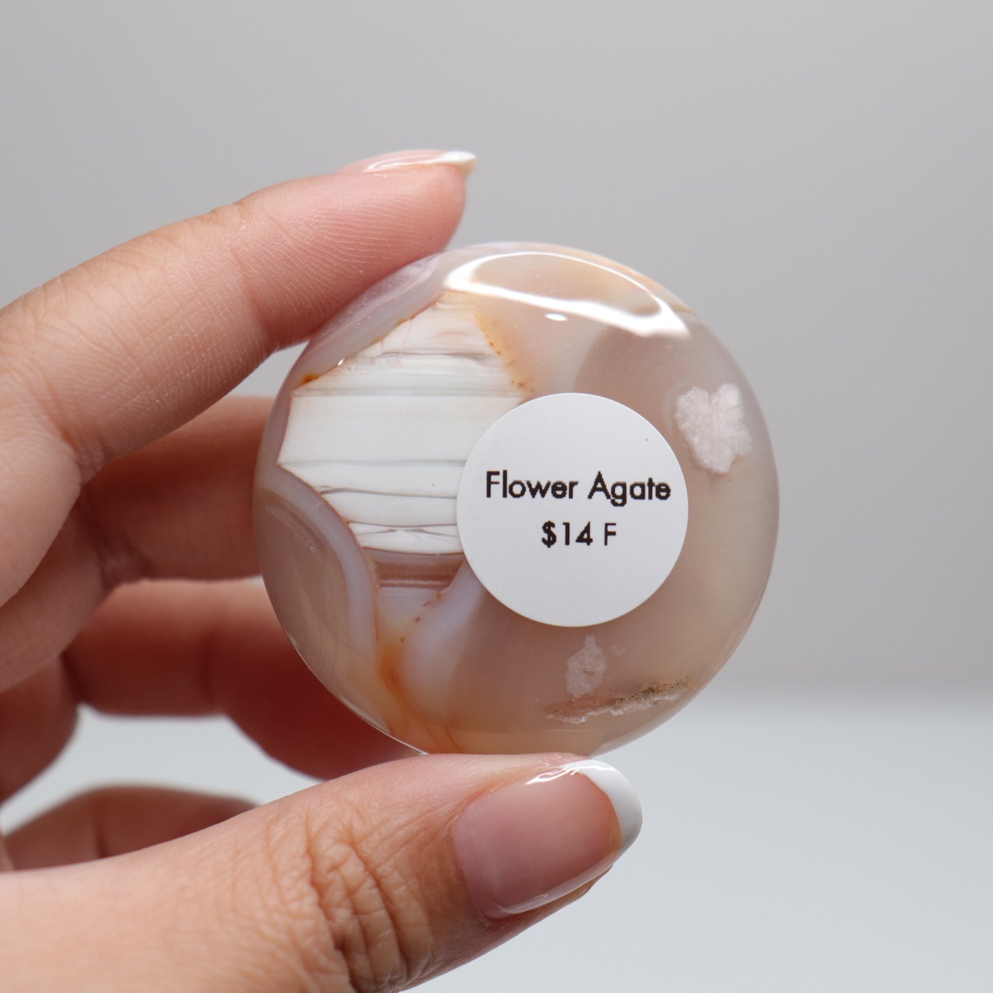 Flower Agate Round Palm | 17