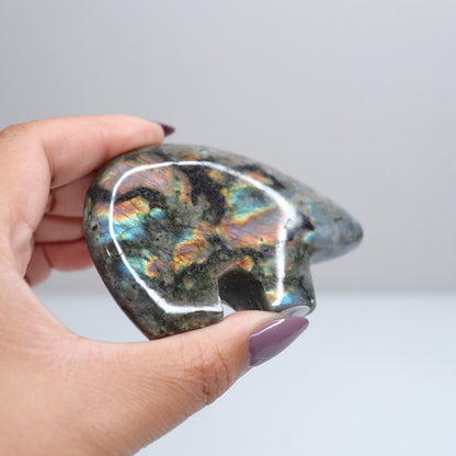 Labradorite Bear 4