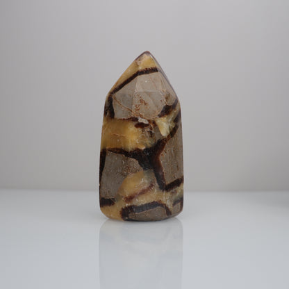 Septarian Tower | 4