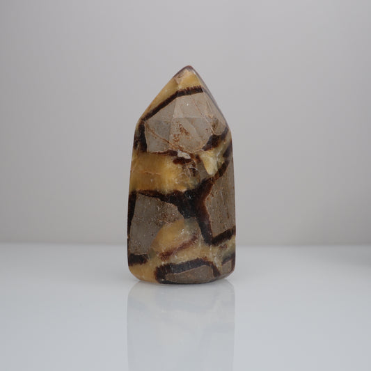 Septarian Tower | 4