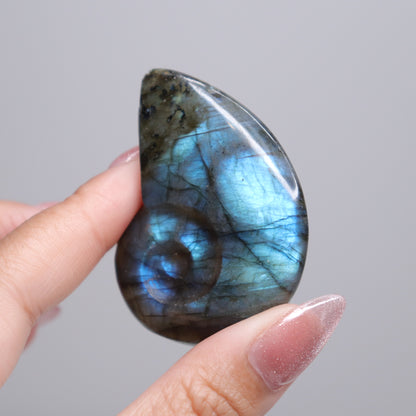 Labradorite Ammonite | 2