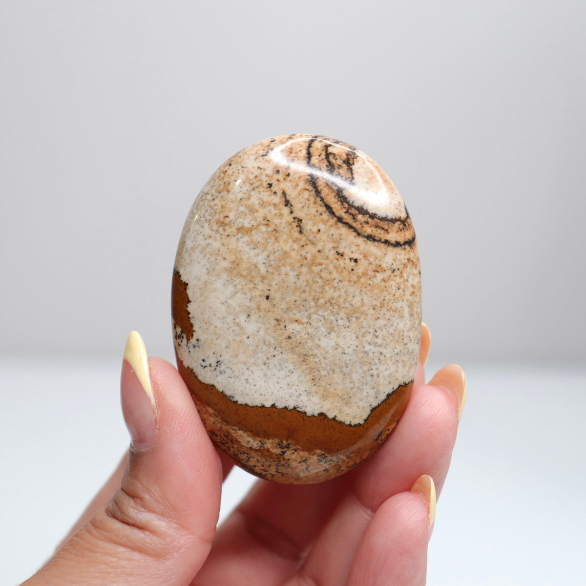 Picture Jasper Palm Stone 12