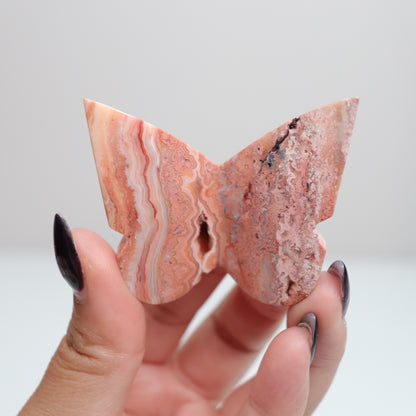 Crazy Lace Agate Butterfly | 19