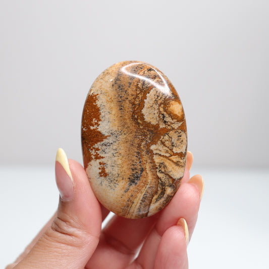 Picture Jasper Palm Stone 8