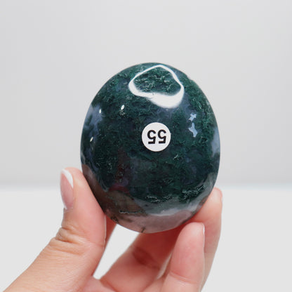 Moss Agate Palm Stone | 55