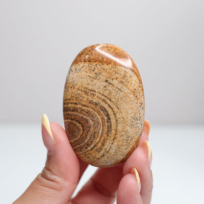 Picture Jasper Palm Stone 3