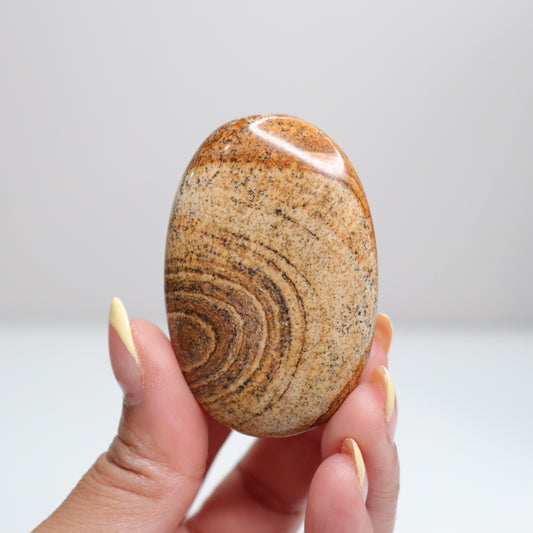 Picture Jasper Palm Stone 3