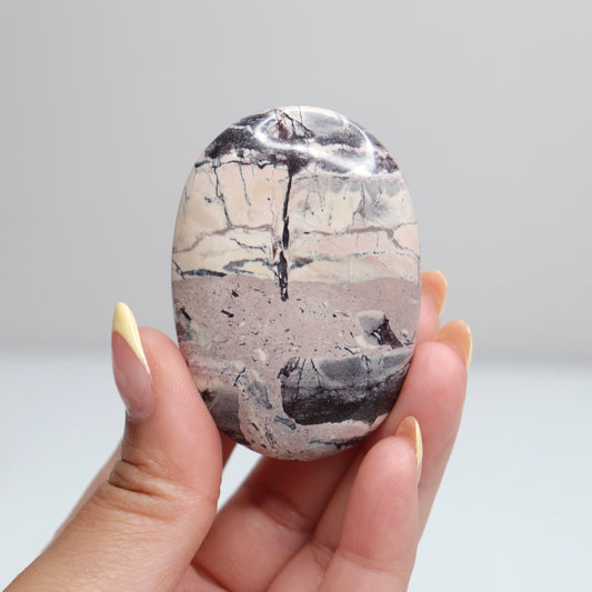 Porcelain Jasper Palm Stone 17
