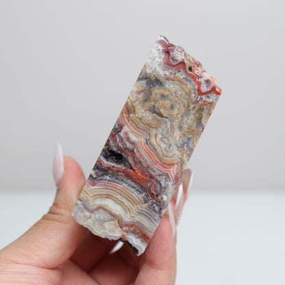 Laguna Lace Agate | N