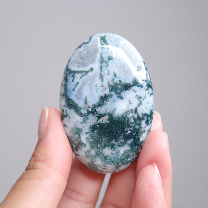 Moss Agate Palm Stone | 3