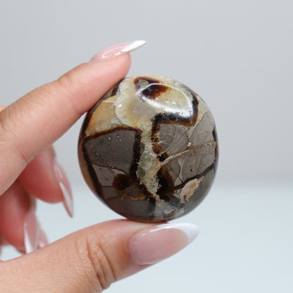 Septarian Palm Stone 73