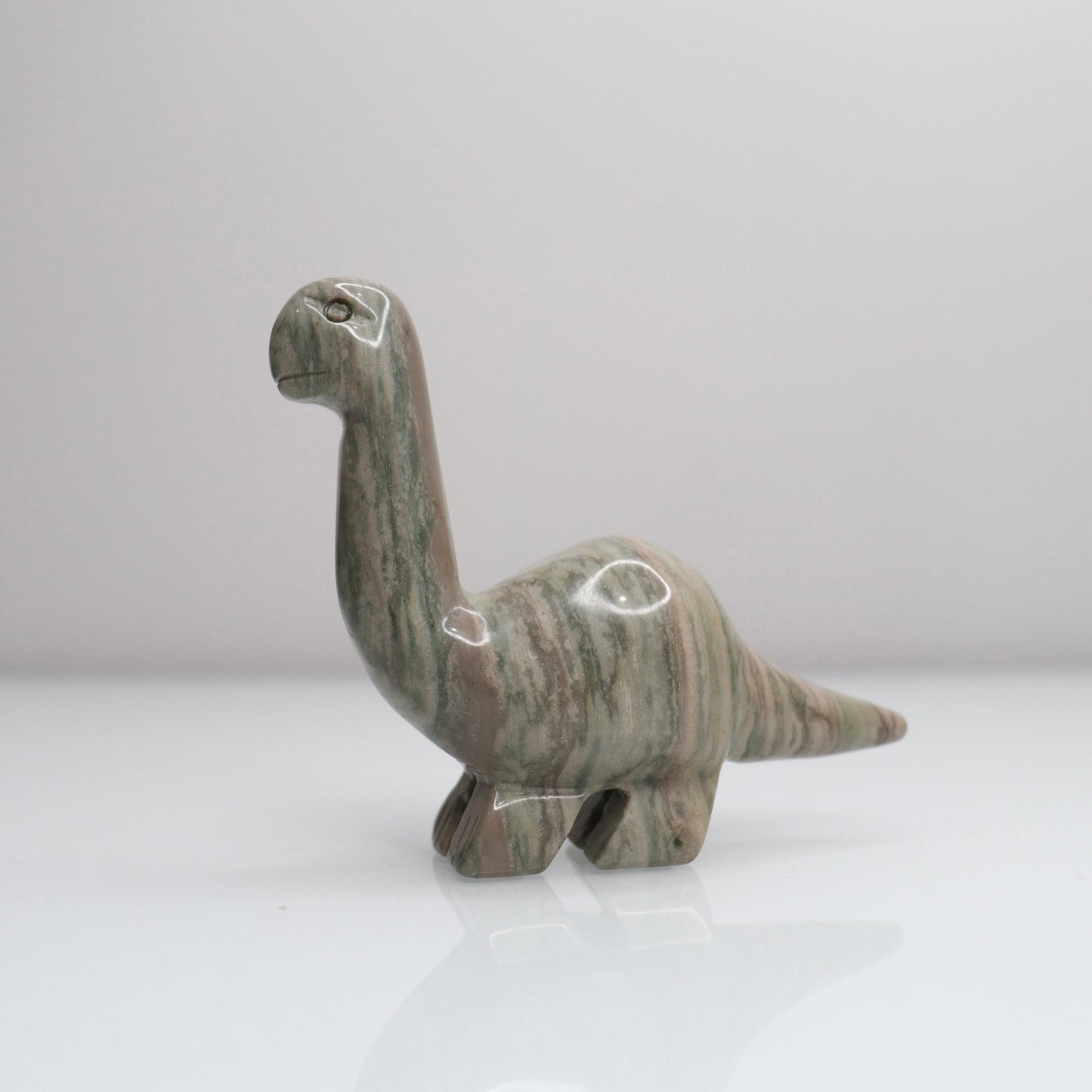 Polychrome Jasper Dinosaur C