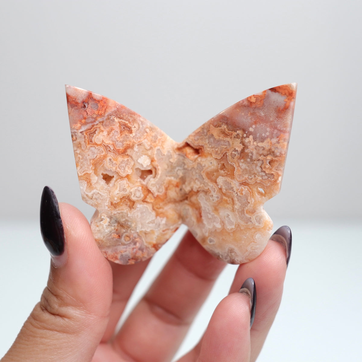 Crazy Lace Agate Butterfly | 29
