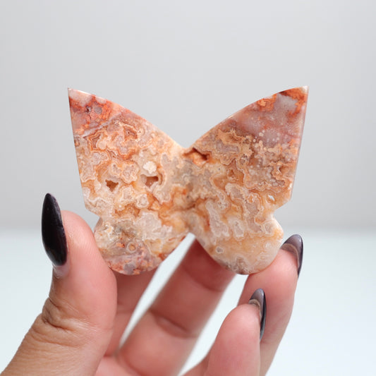 Crazy Lace Agate Butterfly | 29