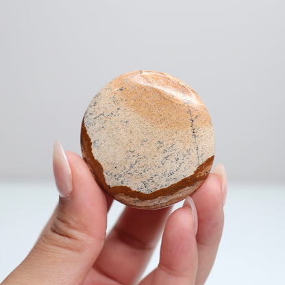 Picture Jasper Flat Stone | 36
