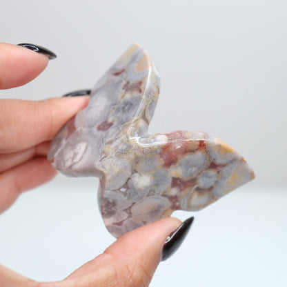 Cobra Jasper Butterfly 6