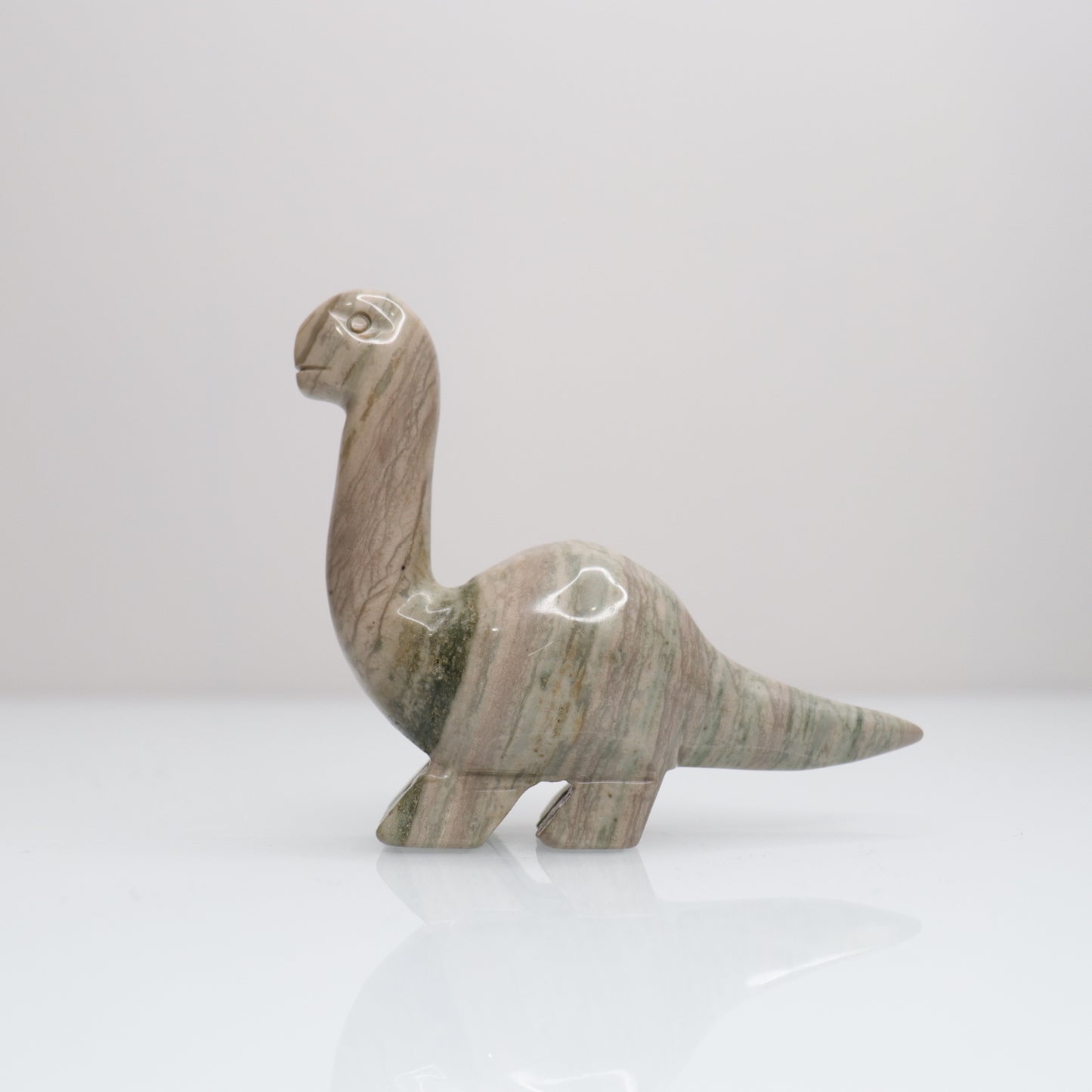 Polychrome Dinosaur | 1