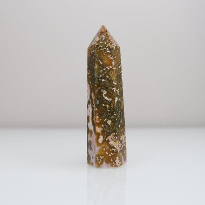 Ocean Jasper Tower 5