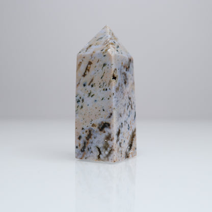 Ocean Jasper Tower | 4