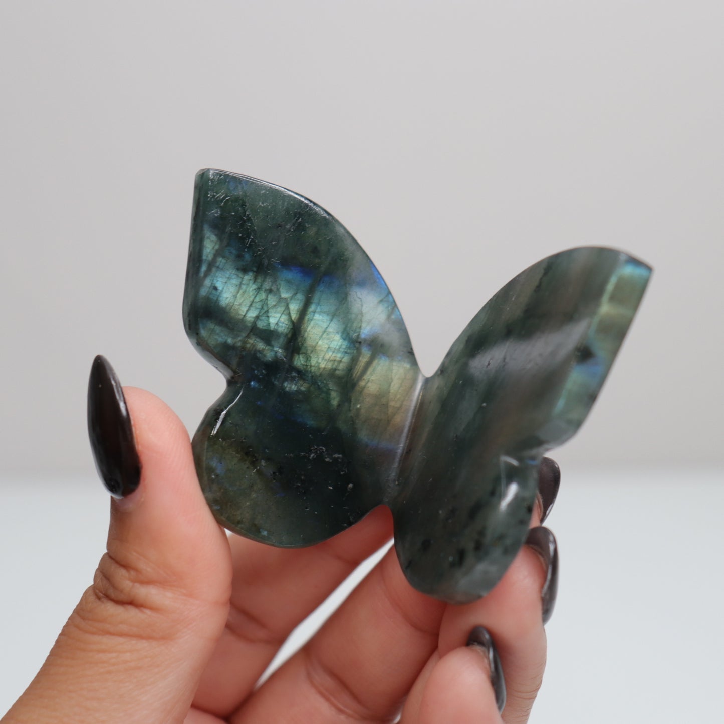 Labradorite Butterfly 6