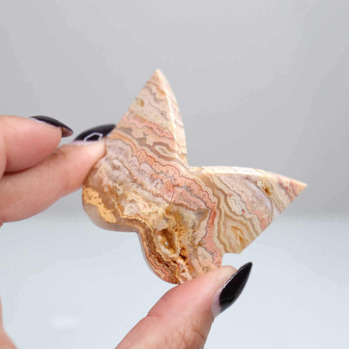 Crazy Lace Agate Butterfly | 3
