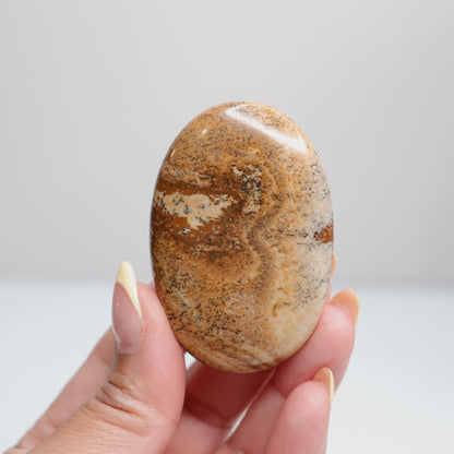 Picture Jasper Palm Stone 8