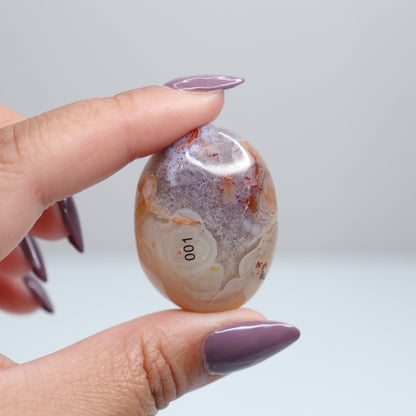 Malawi Agate Palm Stone 001