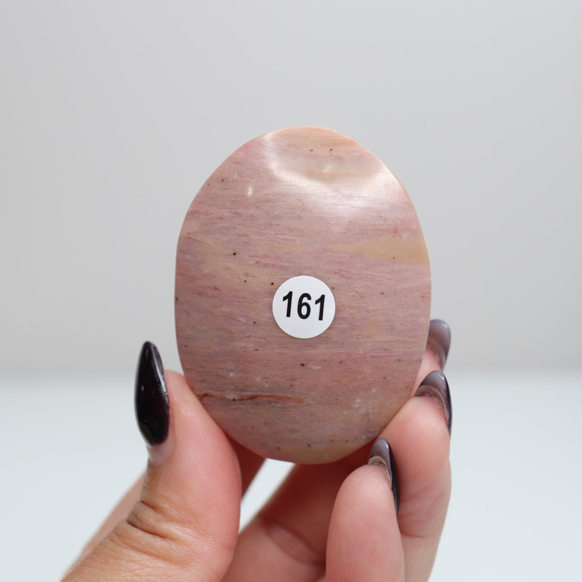 Pink Petrified Wood Palm Stone | 161