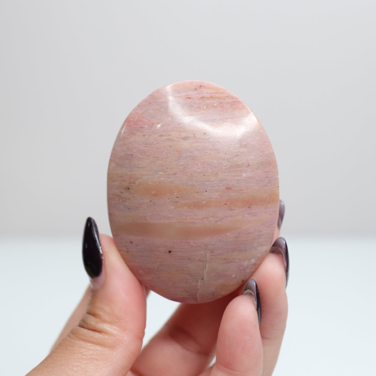 Pink Petrified Wood Palm Stone | 164