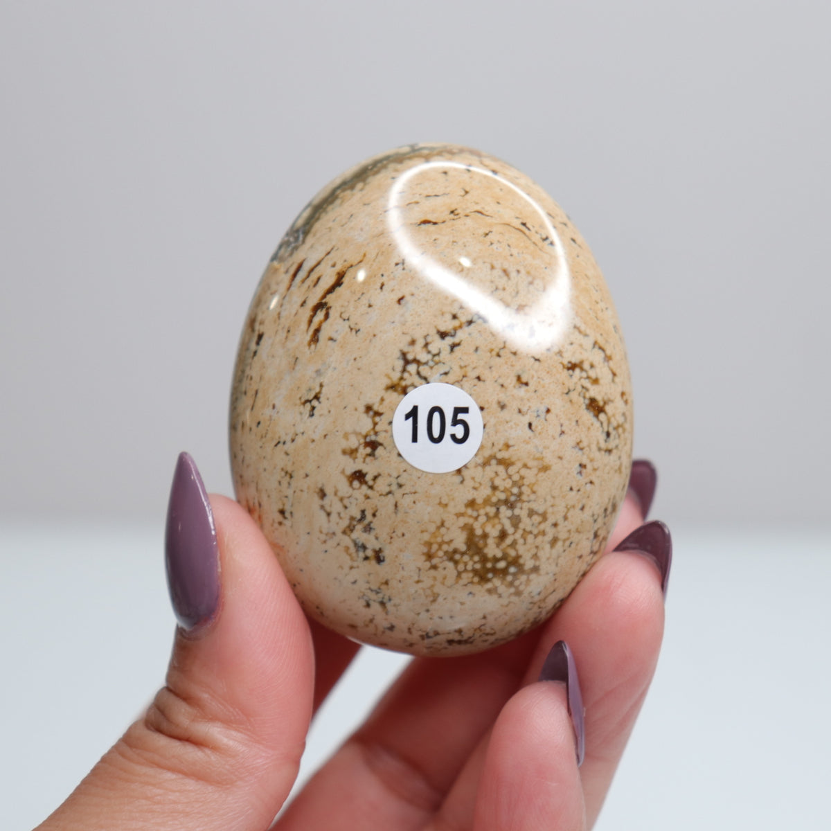Ocean Jasper Palm Stone 105