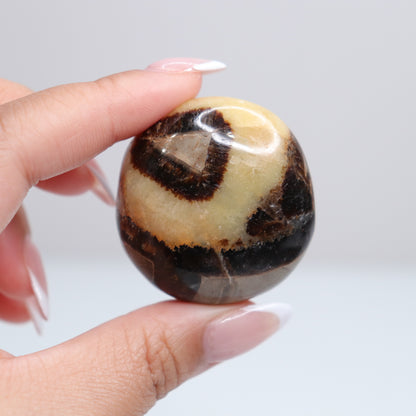 Septarian Palm Stone 77
