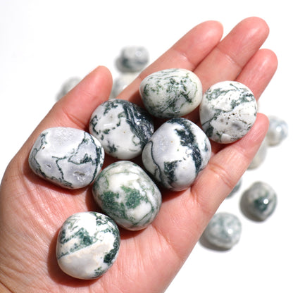 Tree Agate Tumbles