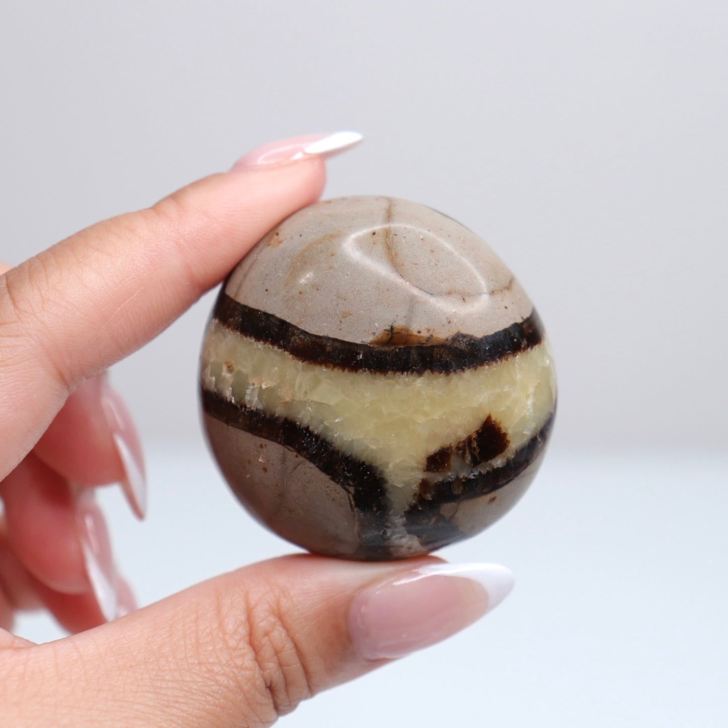 Septarian Palm Stone 80