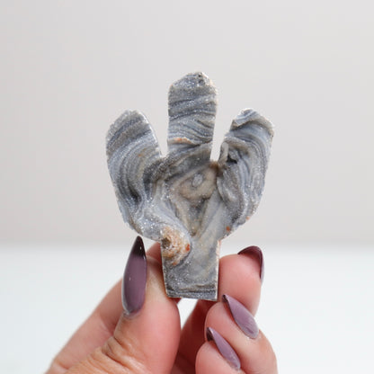 Chalcedony Cactus 41
