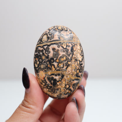 Leopard Skin Jasper Palm Stone | 25