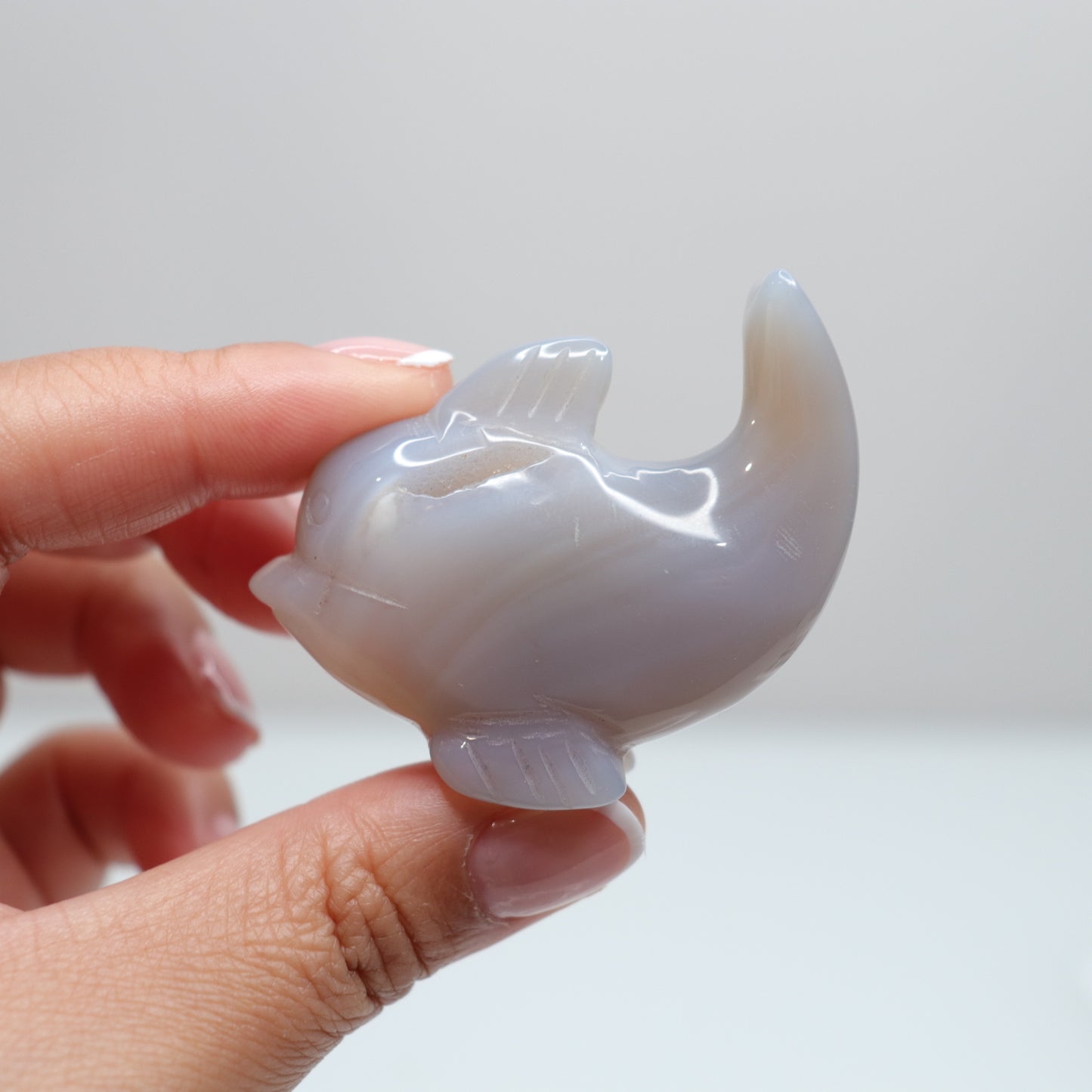 Agate Dolphin | 6