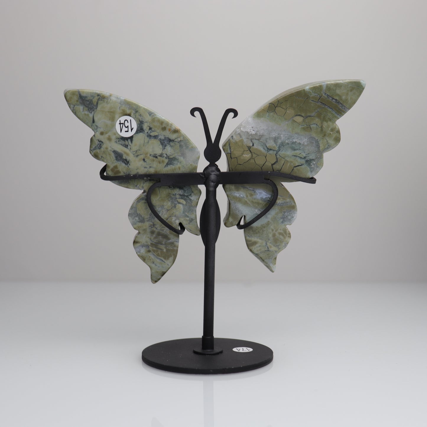 Sea Jasper Butterfly