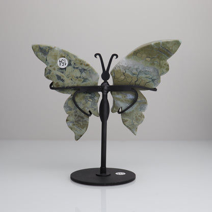 Sea Jasper Butterfly