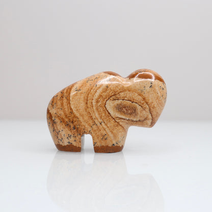 Picture Jasper Bison 1