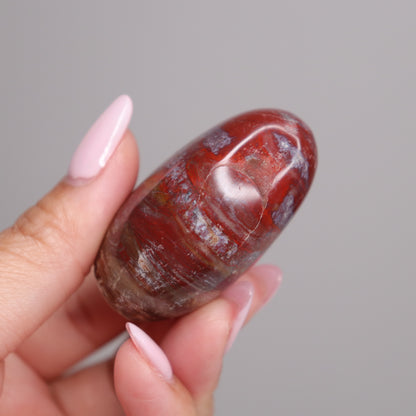 Petrified Wood Palm Stone | 4